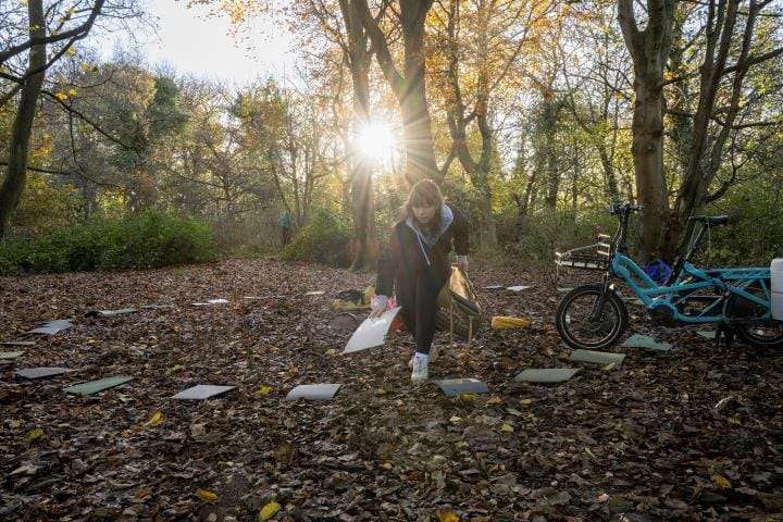 A student volunteer helps set up for the performance laying things out in a circle in the woods.