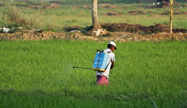 Image shows a man spraying pesticides in a field.
