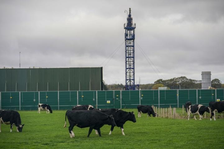 Cows graze in front of a fracking site
