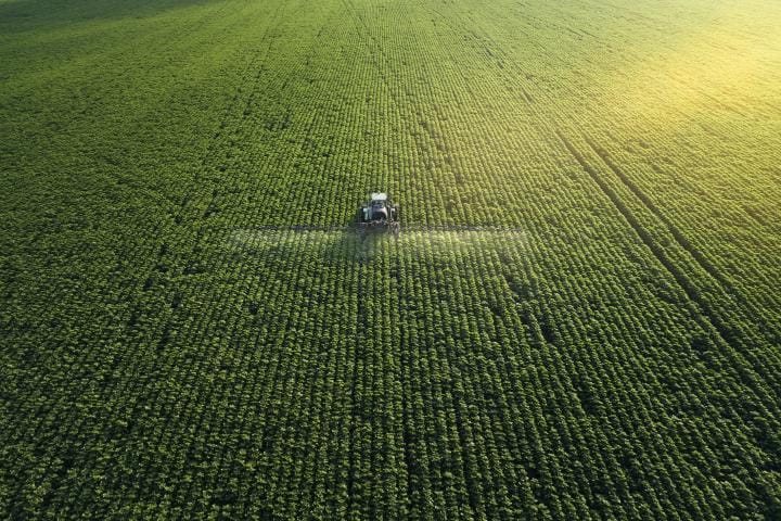 A farmer tends to their crops in Bulgaria