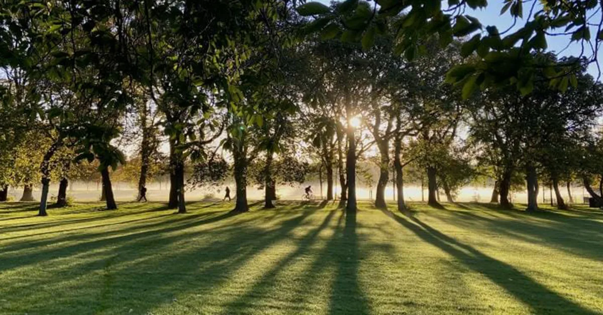 Meadows in Edinburgh