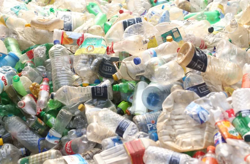 How tackling the impact of plastics on human health is in…