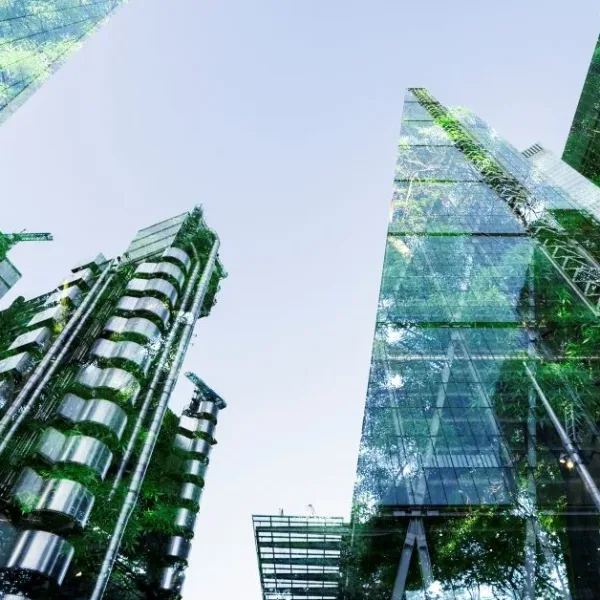 Office buildings with green plants reflected in the glass