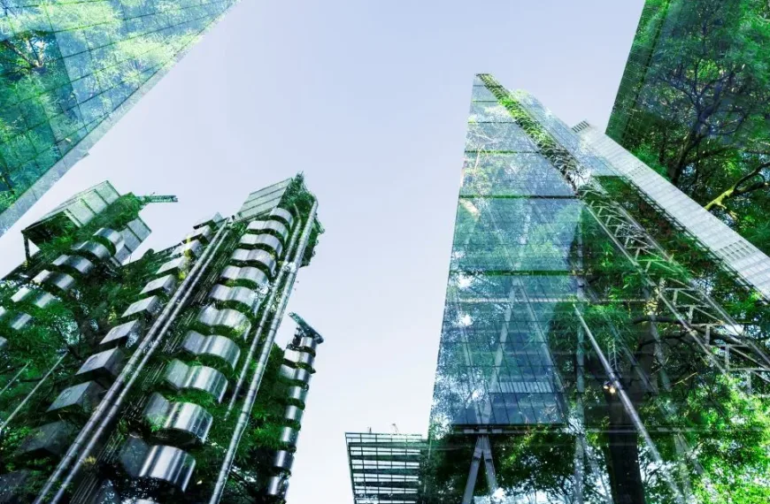 Office buildings with green plants reflected in the glass
