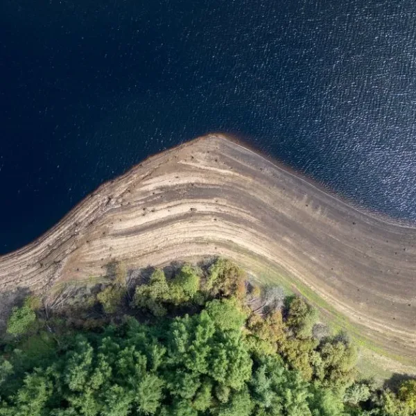 Banks of a water body lined with trees.