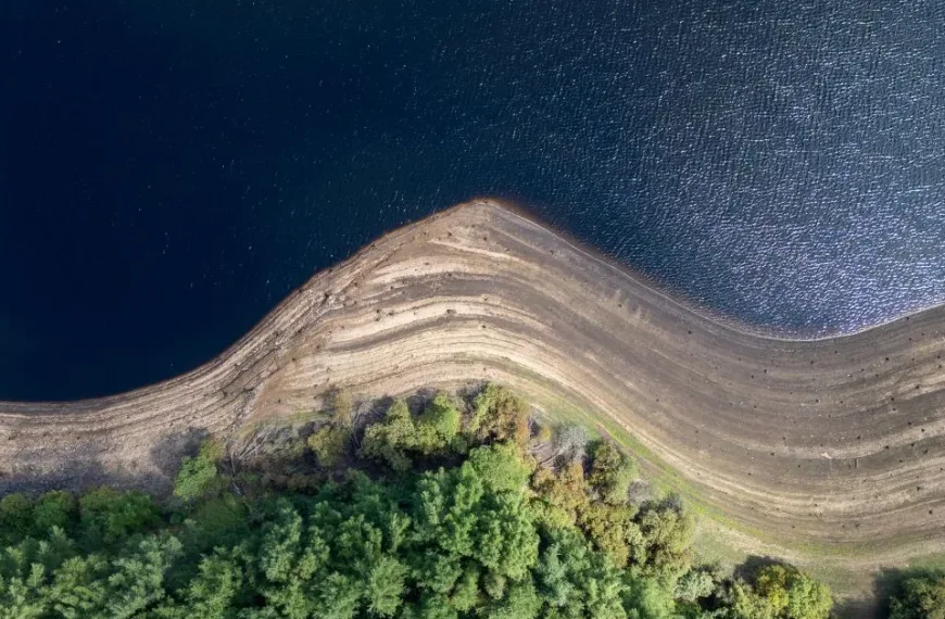 Banks of a water body lined with trees.