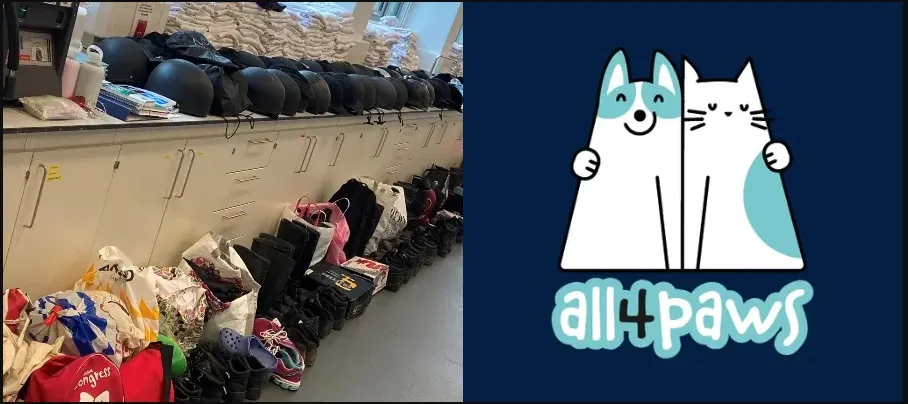 An image of bags containing surplus PPE alongside the All4Paws logo