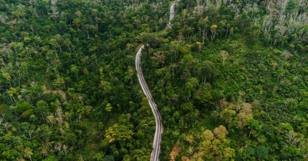 An aerial view of road and forest in Ghana’s Kwahu East District