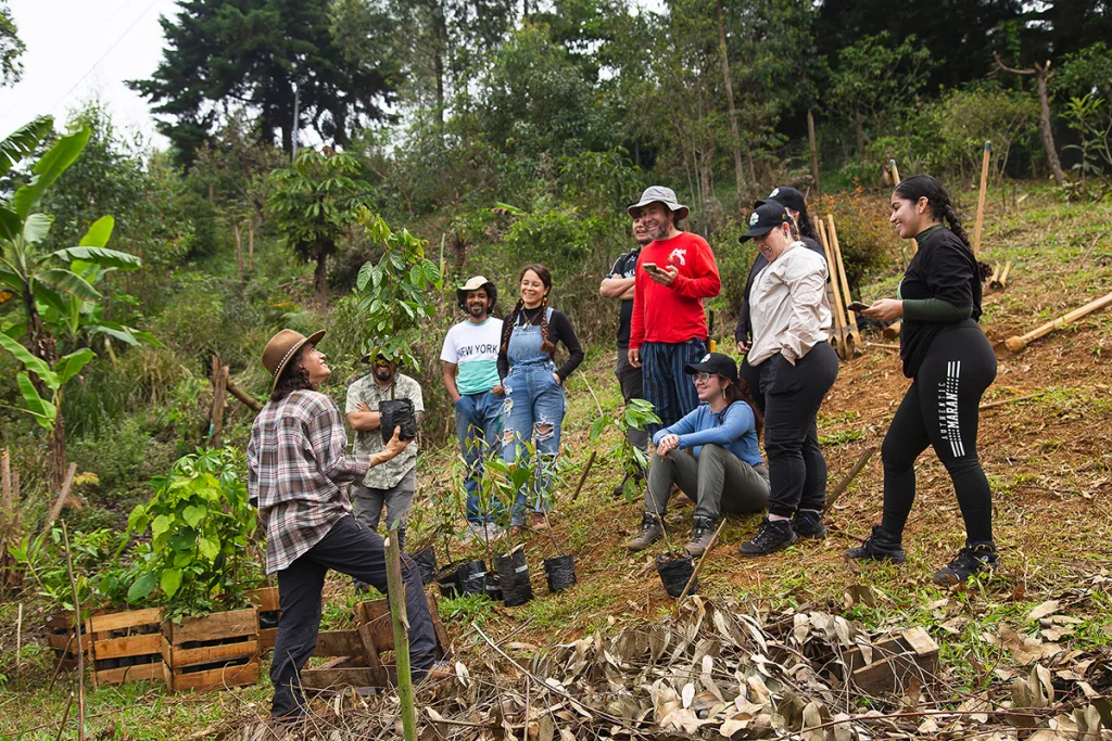 A group of people at the El Faro neighbourhood ecologic restoration project:
community training by ‘Madretierra Permacultura’,
Medellin, Colombia