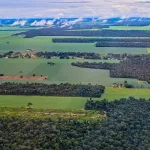 Giant soy fields around Sinop, Mato Grosso, Brazil
