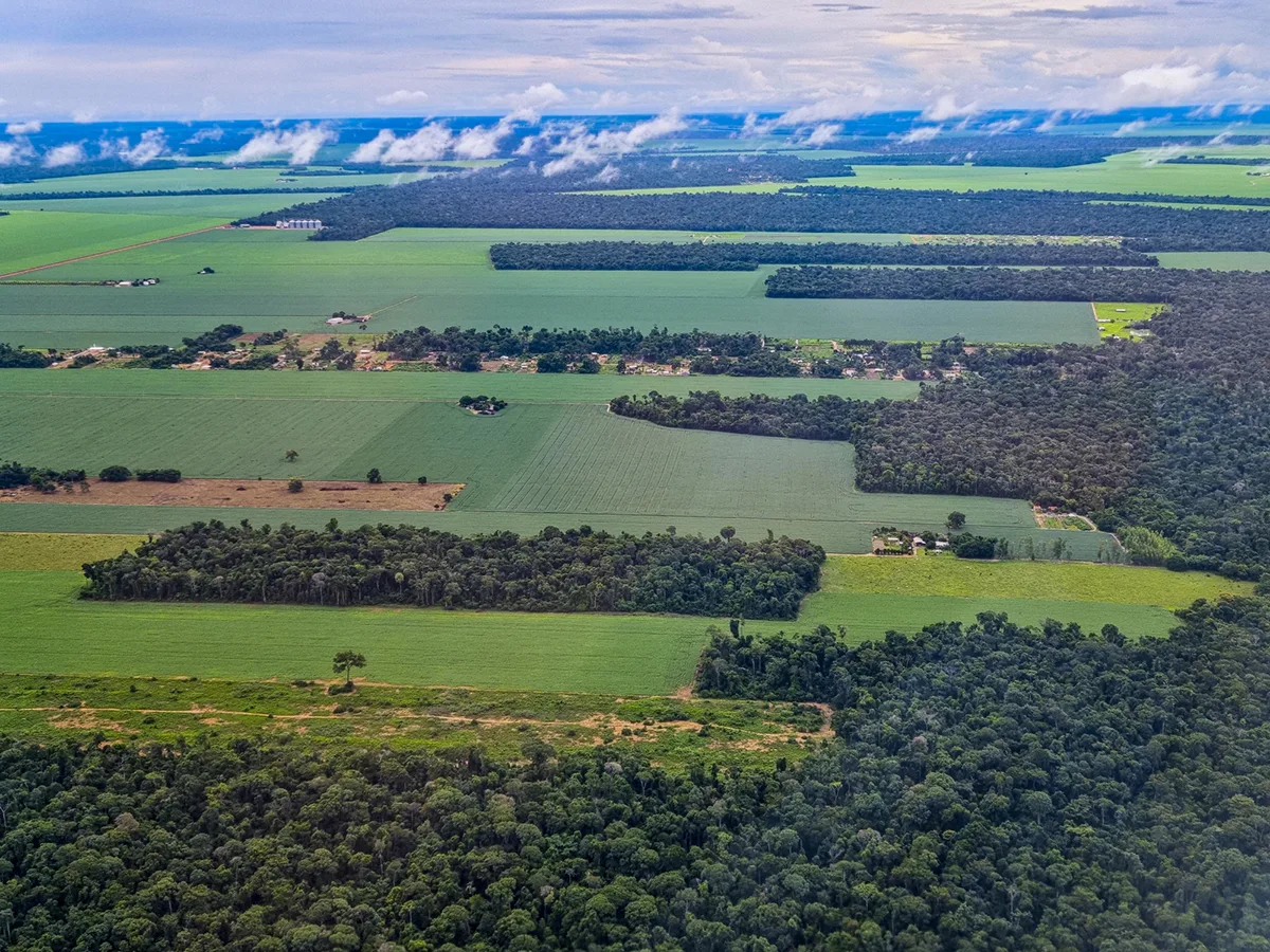 Giant soy fields around Sinop, Mato Grosso, Brazil