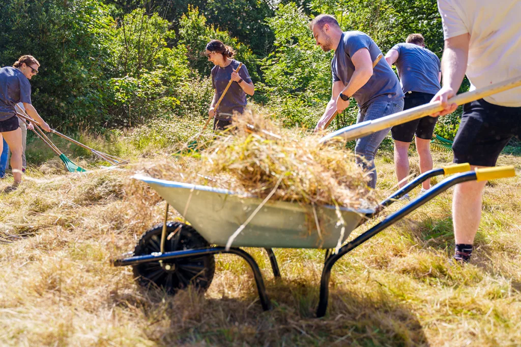 Volunteers raking dry grass at a community-led land stewardship project.