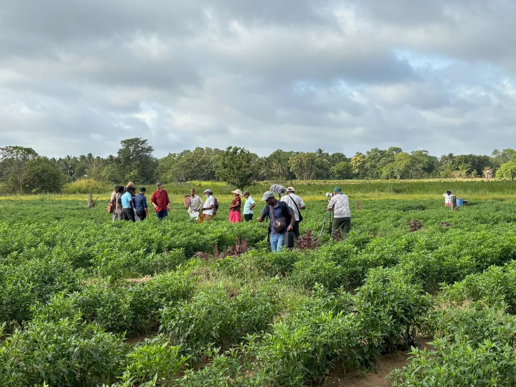 Michael Eddleston pictured with members colleagues in a field in Sri Lanka during filming. The local film crew have a camera and boom mic.