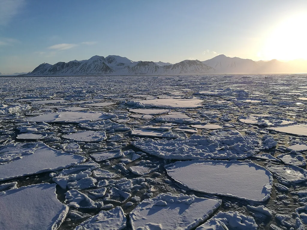 A field of ice floating on the ocean with snow capped mountains in the background 