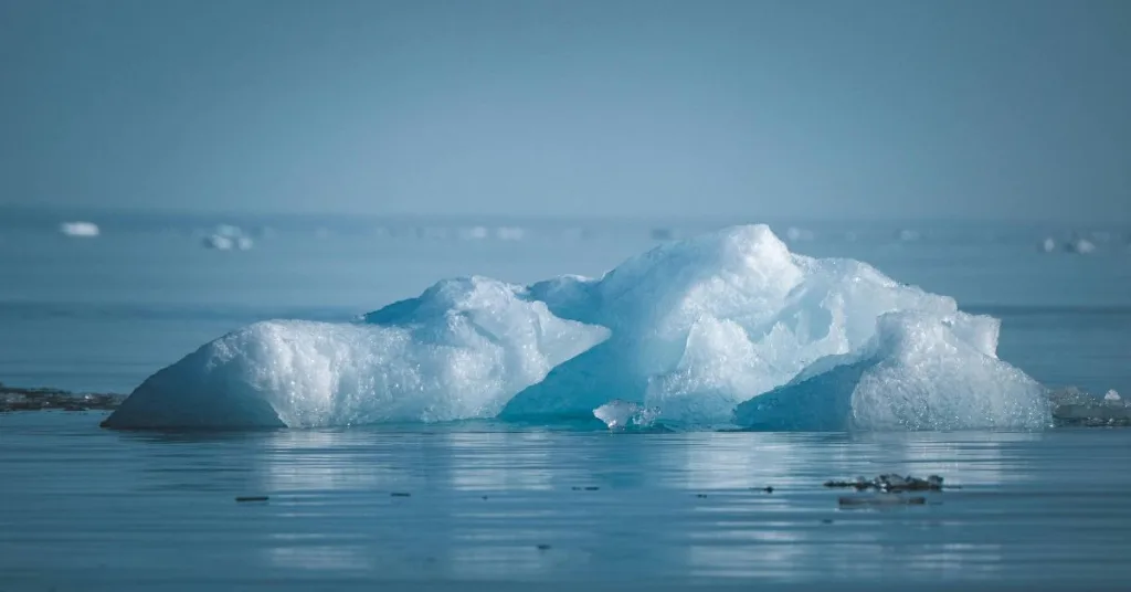 Icebergs on water 