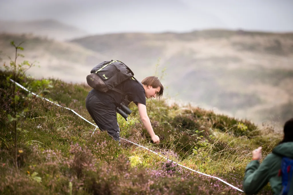 A student with a backpack and binoculars observes the ground amongst tall shrubbery in moorland.
