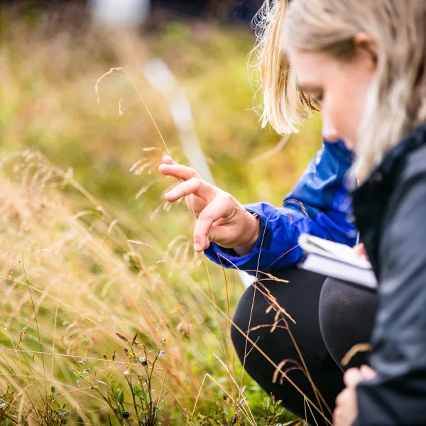 Two students kneeling and looking at a blade of grass during fieldwork at Loch Tay