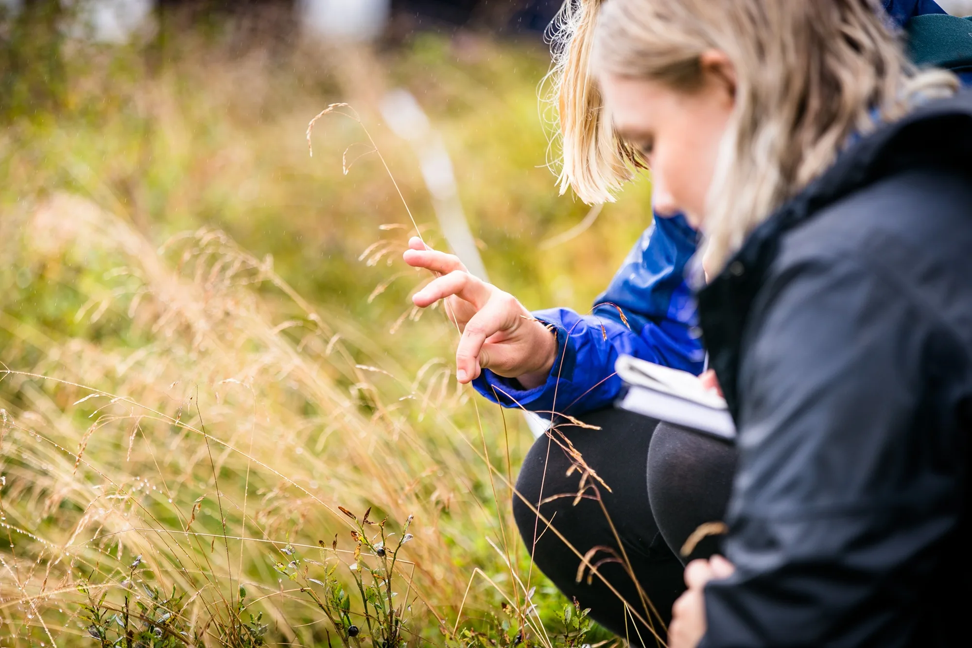 Two students kneeling and looking at a blade of grass during fieldwork at Loch Tay